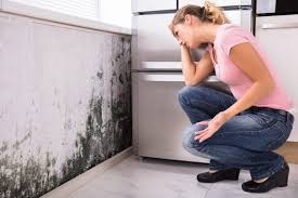 Harrisburg, AR Mold Remediation Company